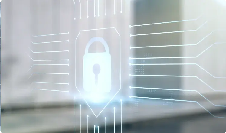 Image Security Measures